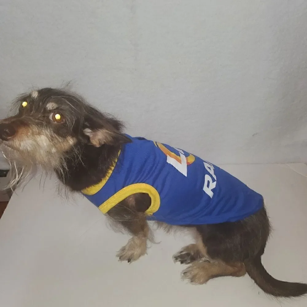 Silver Paw Los Angeles Rams Doggie T Shirt Jersey Size Medium